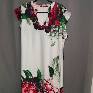 Size XL White Floral New York and Company Dress